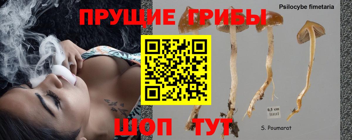 Псилоцибиновые грибы Magic Shrooms  Вход с VPN  Ишим 